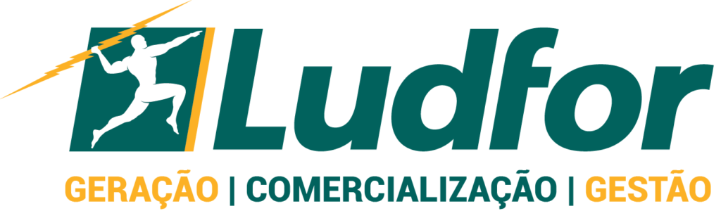 Ludfor (Energia)